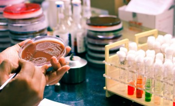 Halal Cosmetics Analysis