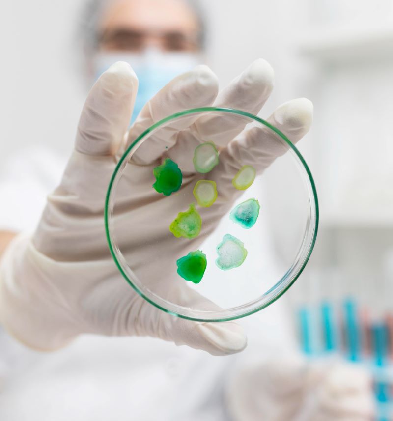 Bioburden Test