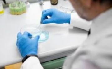 The Importance of Legionella Testing in Water Systems