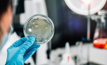 How is the Microbiological Analysis of Ambient Air Performed?