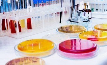 Antibacterial Effectiveness Tests on Surfaces and Materials